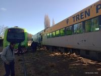 Por los descarrilamientos el tren patagónico deja de funcionar por dos semanas
