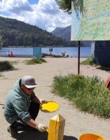 Trabajan en el mantenimiento de las playas del Lago Gutiérrez
