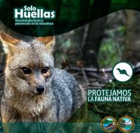 Qué hacer ante la presencia de fauna nativa en las áreas protegidas