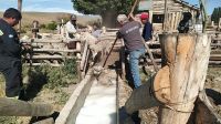 Sarna ovina: Río Negro fortalece acciones para erradicarla