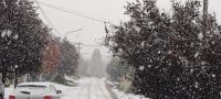 Bariloche tendrá un fin de semana con nevadas persistentes.