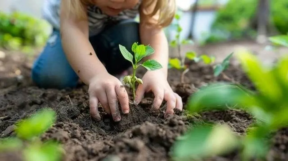 Circuito Verde y el Parque Nacional te invitan a restaurar y sembrar plantines