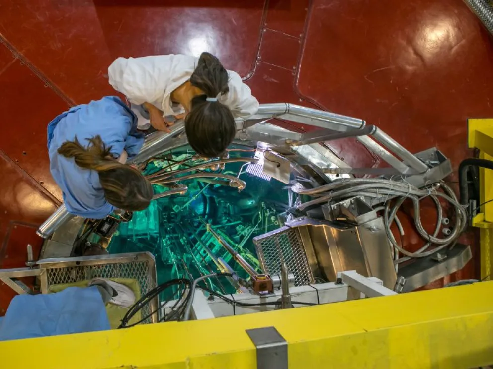 Más información en www.ib.edu.ar
