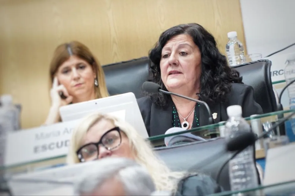 La legisladora María Escudero (JSRN), miembro informante del proyecto, subrayó la necesidad de la ley para la sostenibilidad del sistema de salud pública provincial.