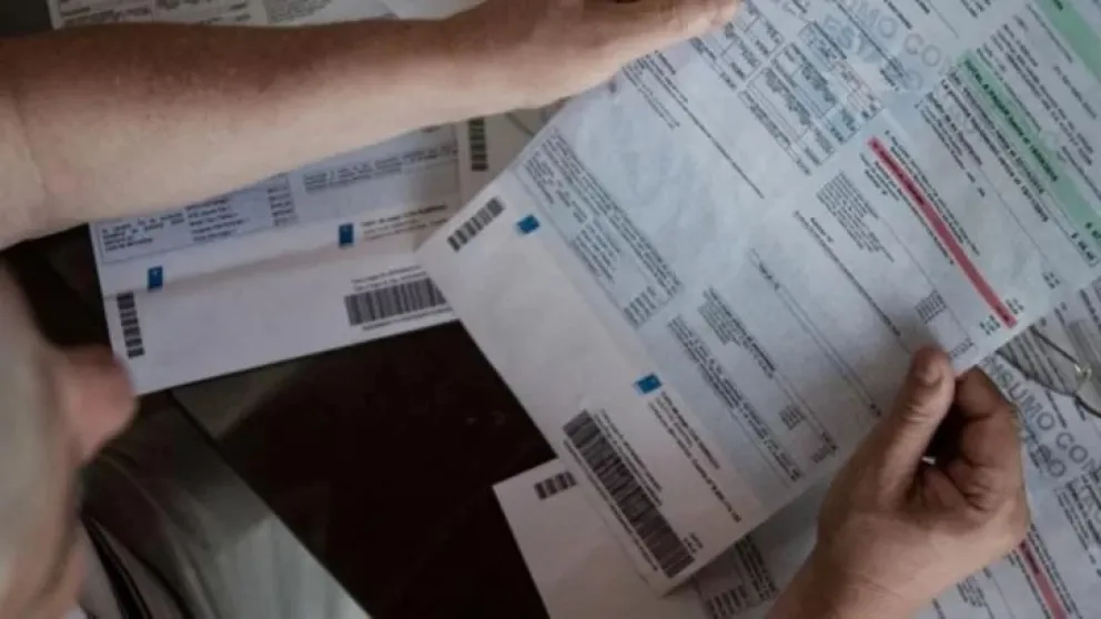 En la región Patagonia, la mayor incidencia se registró en Vivienda, agua, electricidad, gas y otros combustibles.