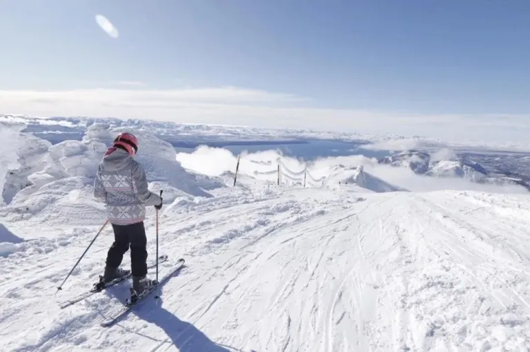 Ratifican que las clases de esquí no son parte de la cuota alimentaria ordinaria