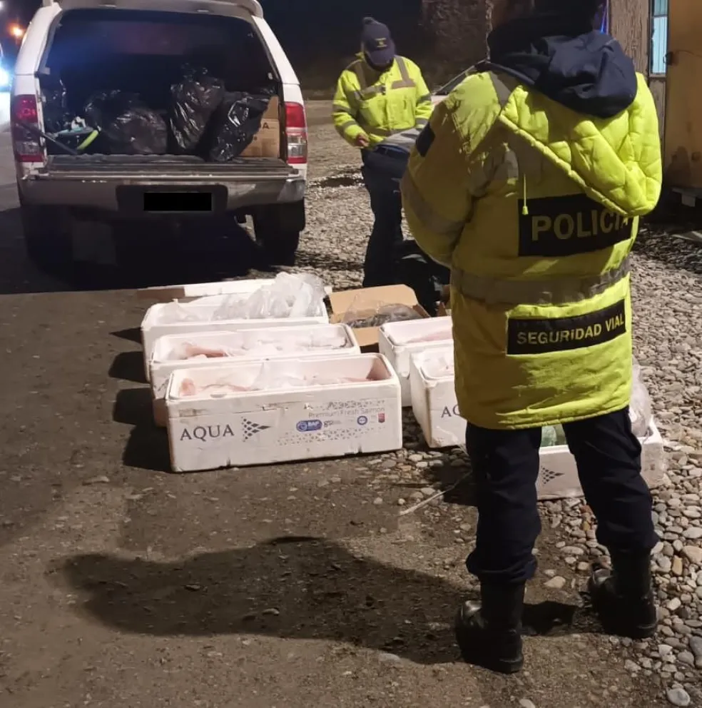 Secuestran más de 100 kilos de pescados y mariscos transportados sin refrigeración