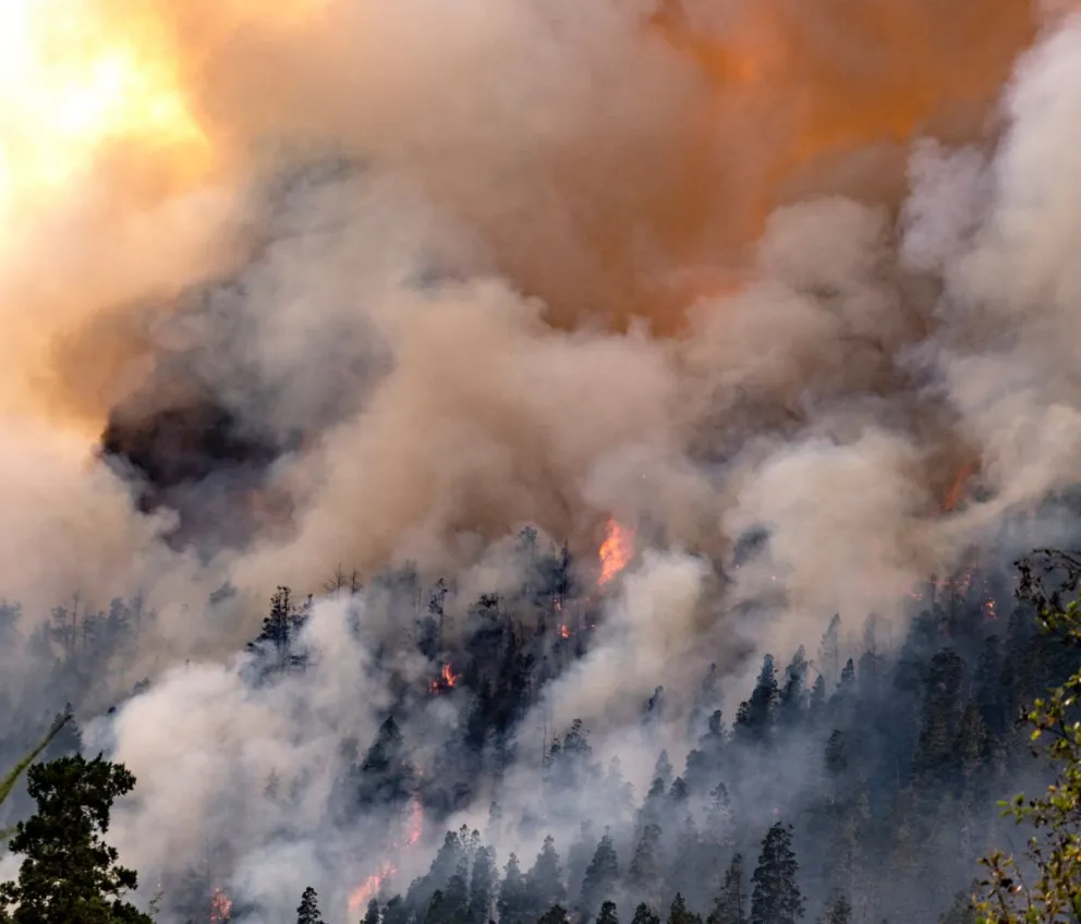 En los últimos 10 años una realidad muy preocupante ataca a la cordillera patagónica