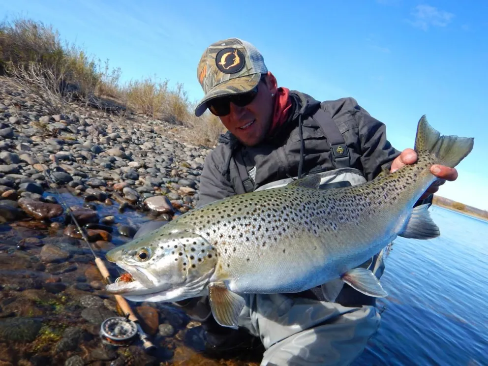 Trucha arco iris pescada en el Limay Medio (foto: revista El Pato)