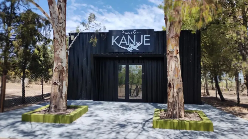 El mejor aceite de oliva del país es rionegrino