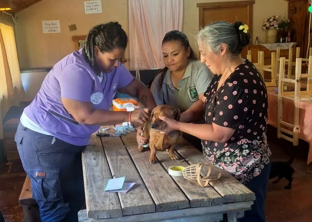 La Municipalidad eecorre los barrios con la campaña gratuita de vacunación antirrábica