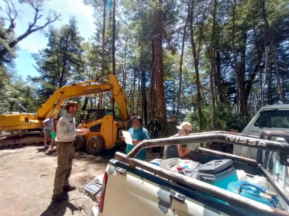 El desmonte ocasionó un impacto ambiental significativo, con corte y remoción de raíz de ejemplares nativos, principalmente coihues. Crédito: APN.