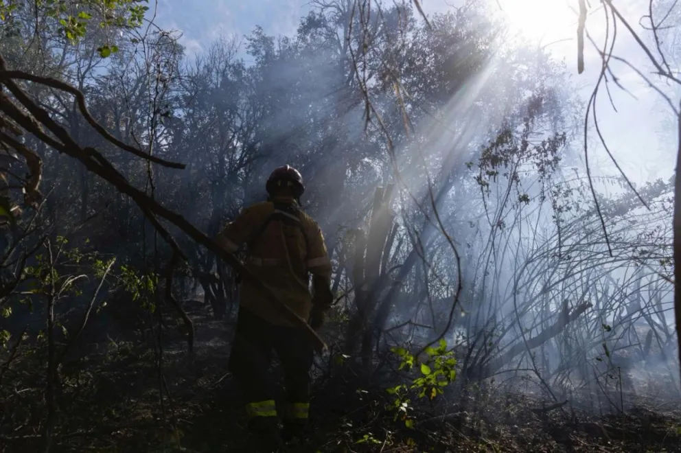 Incendio en la ladera norte del cerro Otto