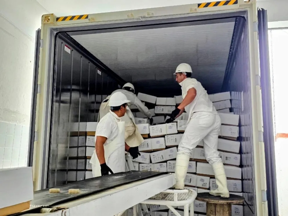 Carga de carne para exportación en Jacobacci