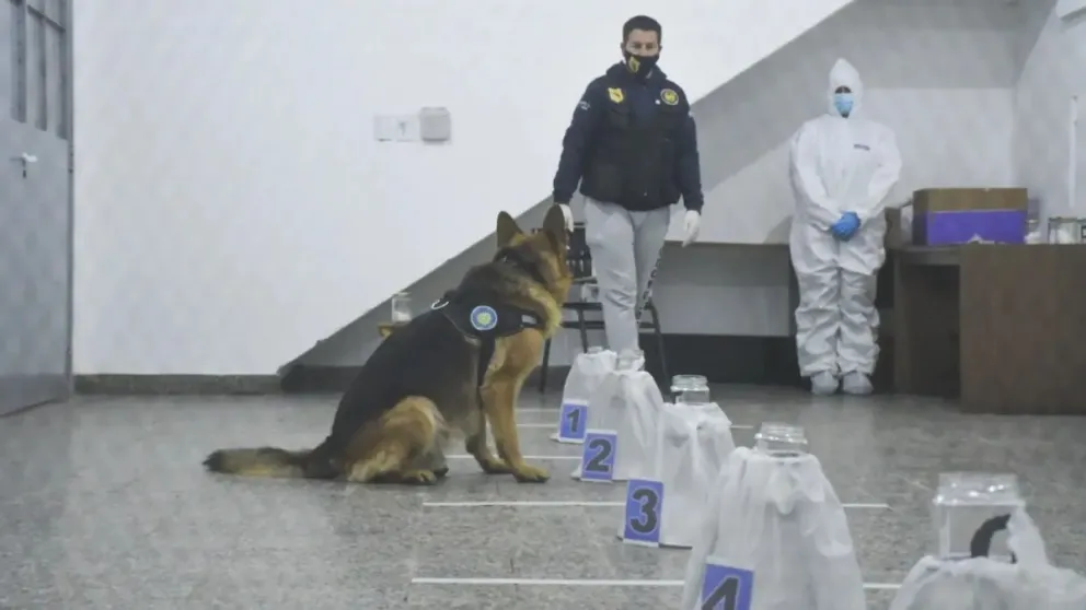 La nueva agencia se integrará al trabajo que hoy realiza la SENAC. Crédito: Gobierno de Río Negro.