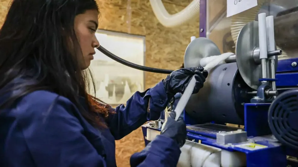 El eje del proyecto está puesto en que las juventudes sean protagonistas de las políticas públicas
Crédito: Gobierno de Río Negro.