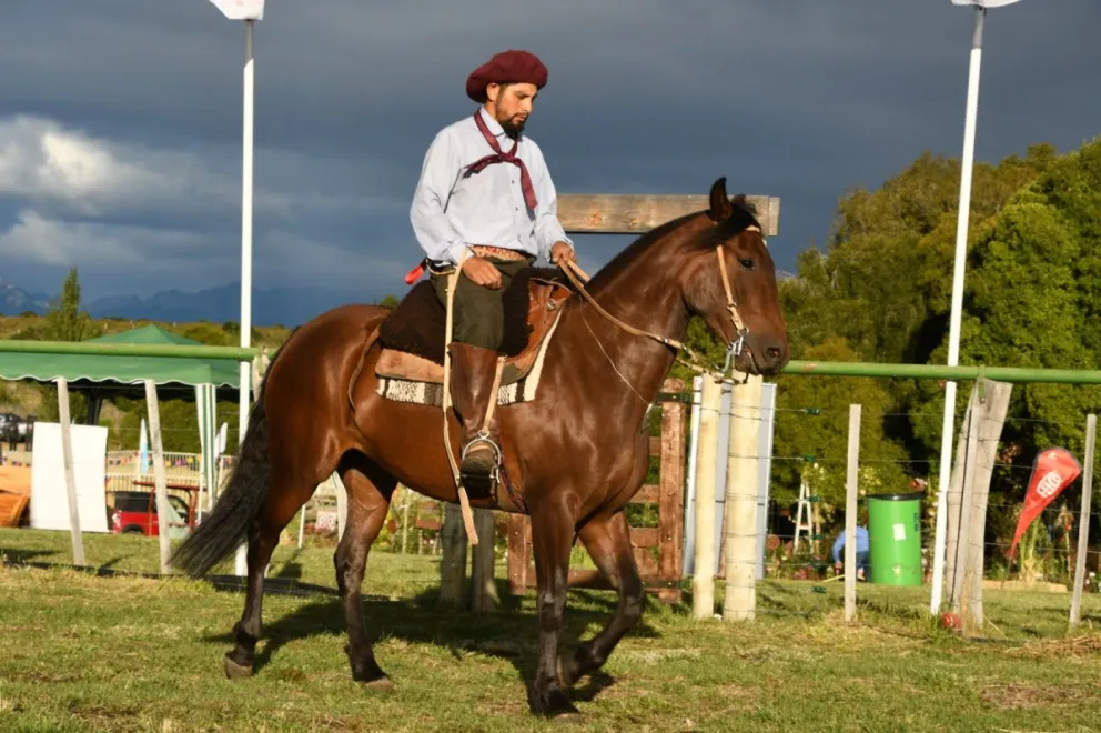 Horqueta Estepa, la yegua premiada de La Fragua