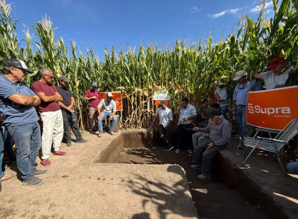 Banacloy junto a los referentes nacionales del maíz bajo riego