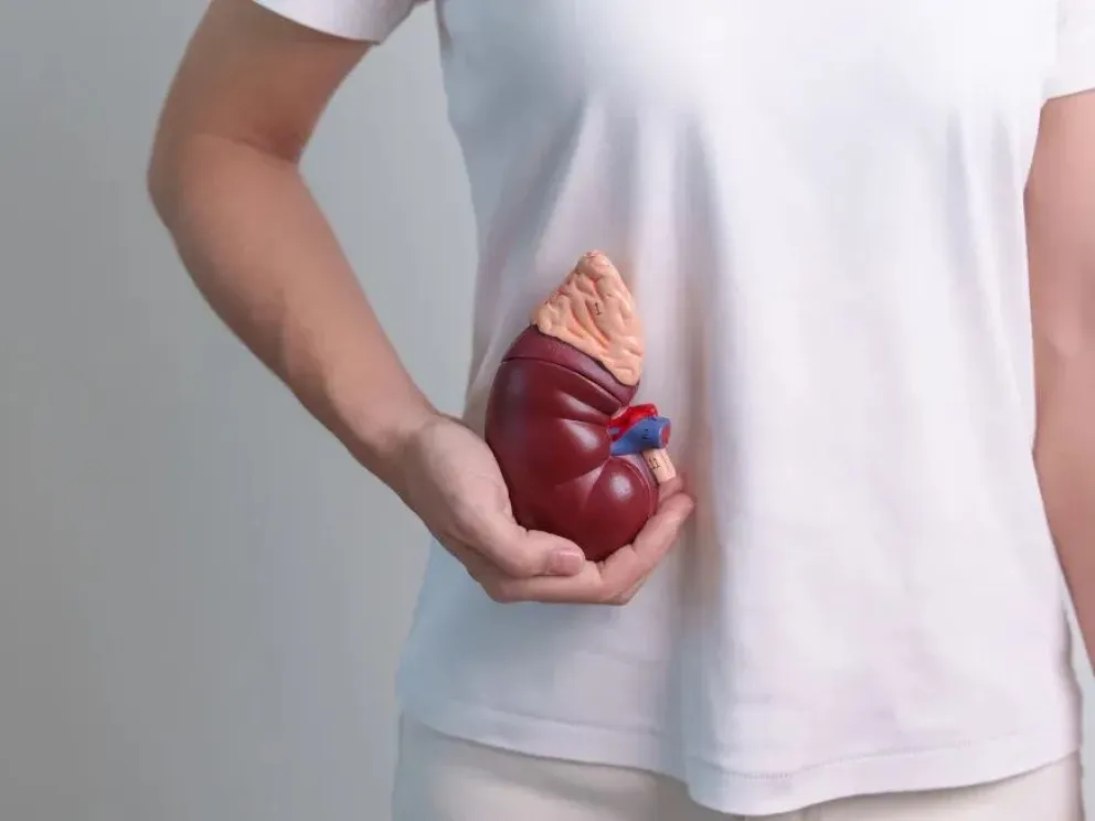 Crédito: grupogamma.com