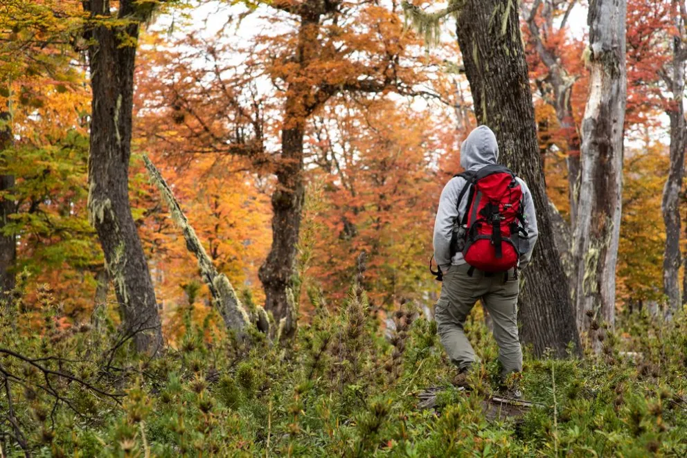 El colorido de la naturaleza en El Bolsón es único