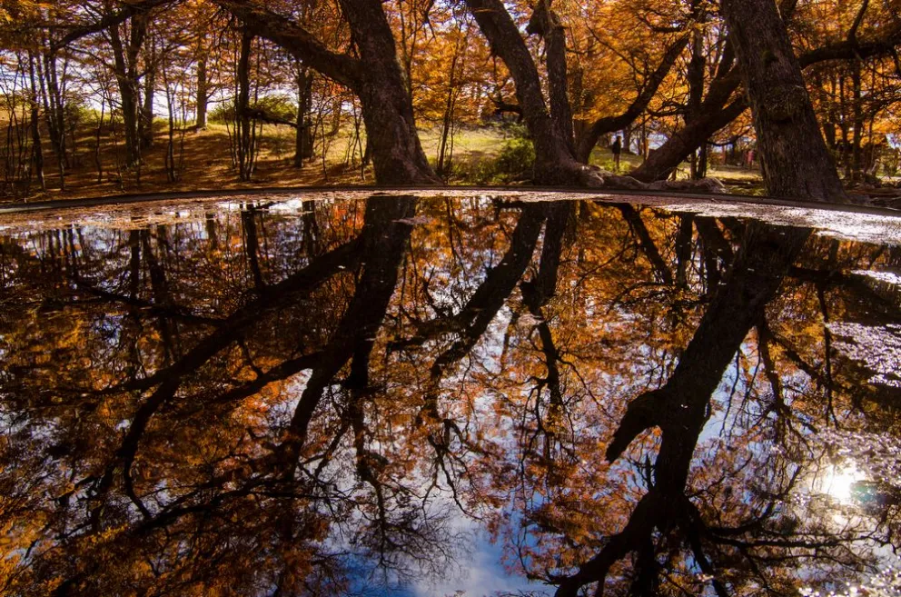 Marca registrada de Bariloche: Fiesta del Chocolate en Semana Santa