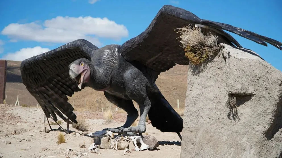 Reproducción en escala real del ave del terror Kelenken guillermoi