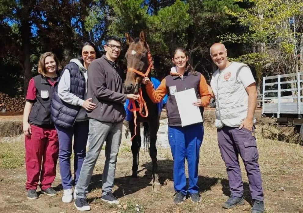 Sanidad Animal municipal impulsó un cambio de fondo para el manejo de tenencia, adopción y educación