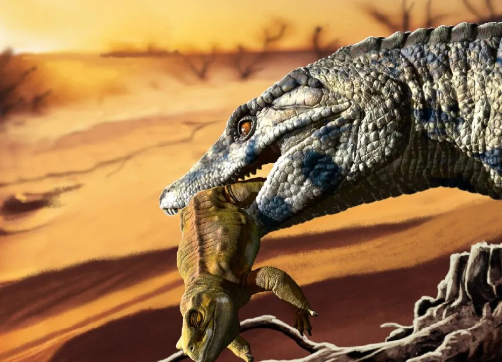 El descubrimiento representa un aporte clave para obtener información sobre la evolución de ecosistemas. Crédito: Gobierno de Río Negro.