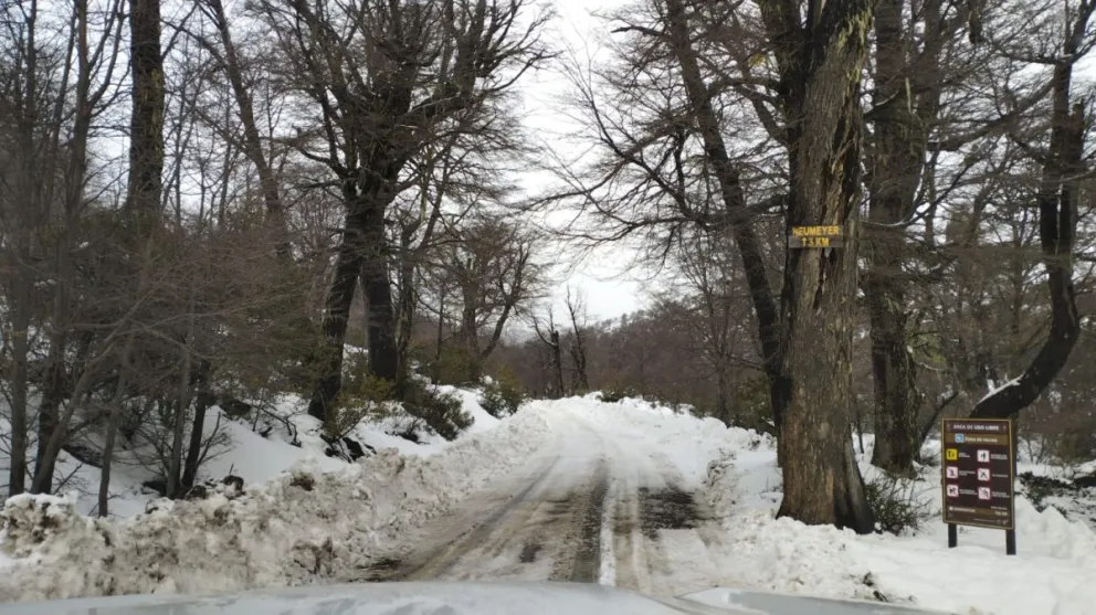 Ek camino se encuentra habilitado xclusivamente para vehículos con tracción en las cuatro ruedas (4x4). Fotos: Parques Nacionales.  